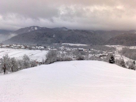 407556_250678485000152_100001740070004_601873_1626031114_n